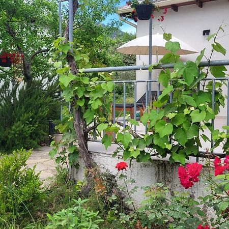 Ioannis Houses - Gemuetliches Ferienhaus Im Olivenhain Skala Potamia  Exterior foto